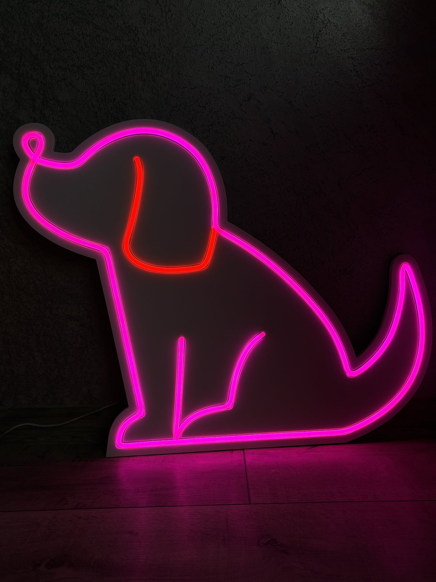 ZOOLOGIE (veterináři, chovatelské obchody)